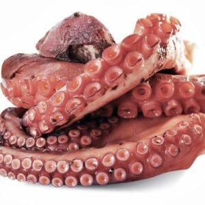 Pulpo del Norte (calibre 1.5-2)